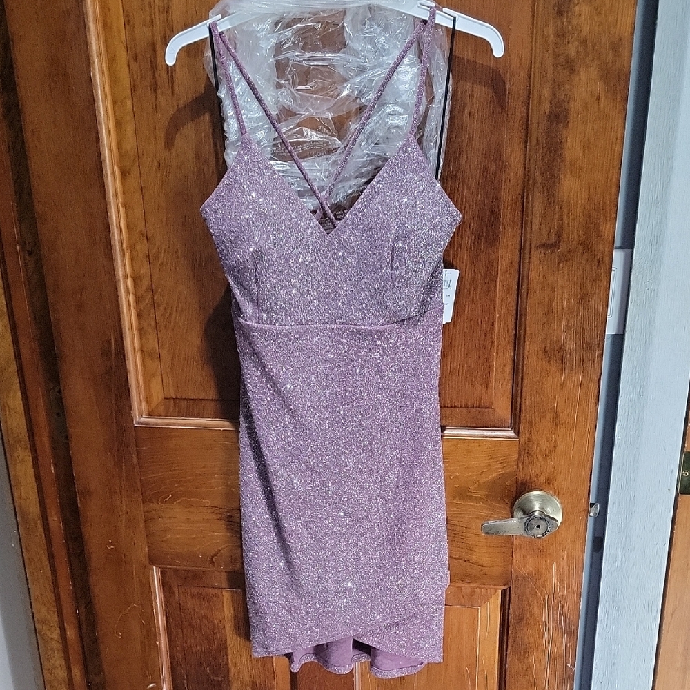 Windsor Glittering Purple Mini Dress